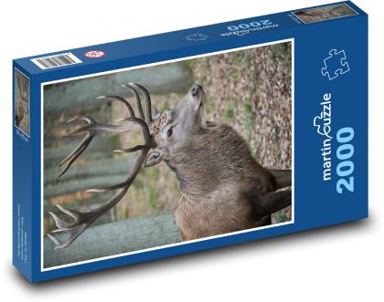 Hirsch - Puzzle - 2000 Teile