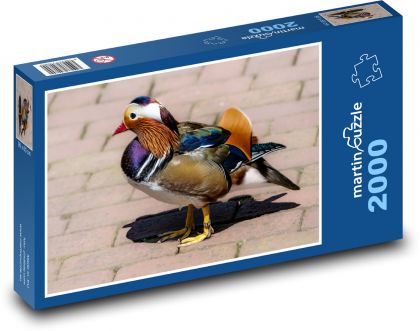 Kachna mandarinská - puzzle 2000 dílků