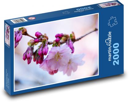Cherry blossom - Puzzle 2000 pieces, size 90x60 cm 