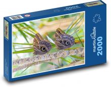 Motyle Puzzle 2000 elementów - 90x60 cm