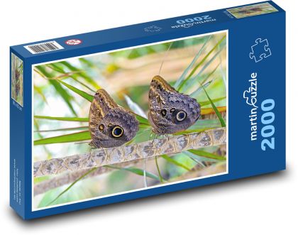Motýle - Puzzle 2000 dielikov, rozmer 90x60 cm 