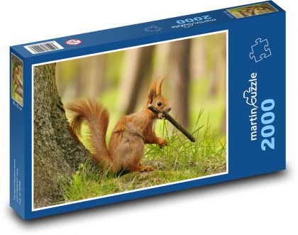 Wiewiórka - Puzzle 2000 elementów, rozmiar 90x60 cm