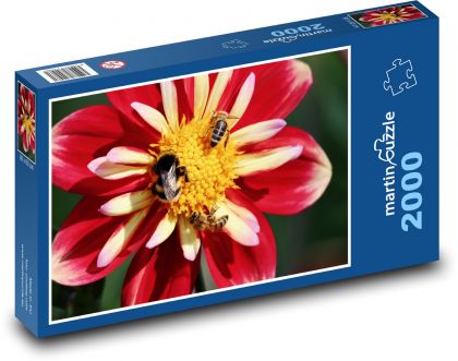 Bees on a Flower - Puzzle 2000 pieces, size 90x60 cm 