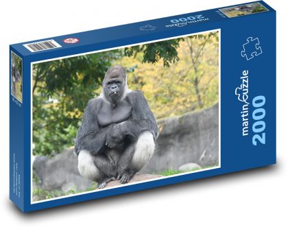 Gorila - opica - Puzzle 2000 dielikov, rozmer 90x60 cm 