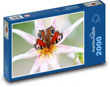 Schmetterling auf einer Blume Puzzle 2000 Teile - 90 x 60 cm