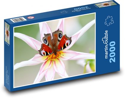 Butterfly on a flower - Puzzle 2000 pieces, size 90x60 cm 
