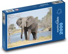 Slon Puzzle 2000 - 90x60 cm