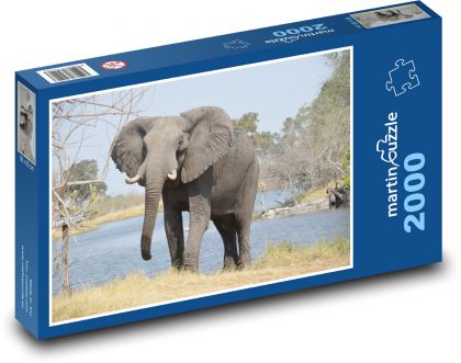 słoń - Puzzle 2000 elementów, rozmiar 90x60 cm