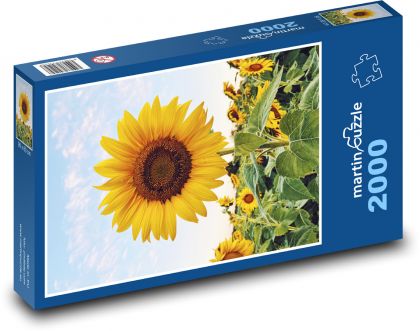 Sonnenblumen - Puzzle - 2000 Teile