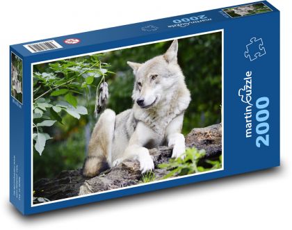 Vlk - Puzzle 2000 dielikov, rozmer 90x60 cm 