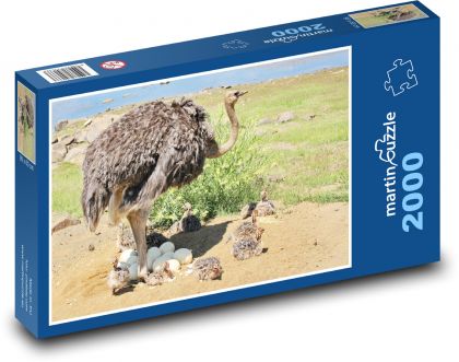 Pštros - vták - Puzzle 2000 dielikov, rozmer 90x60 cm 