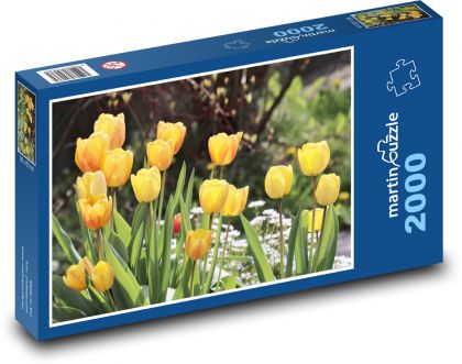 Žluté tulipány - puzzle 2000 dílků