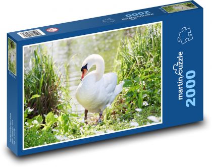 Weißer Schwan - Puzzle - 2000 Teile