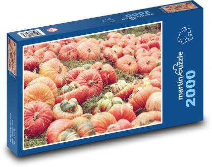 Dýně - sklizeň - puzzle 2000 dílků