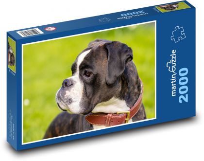 Dog - Boxer - Puzzle 2000 pieces, size 90x60 cm 