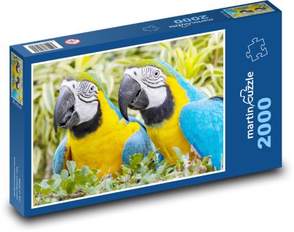 Unzertrennliche. - Puzzle - 2000 Teile