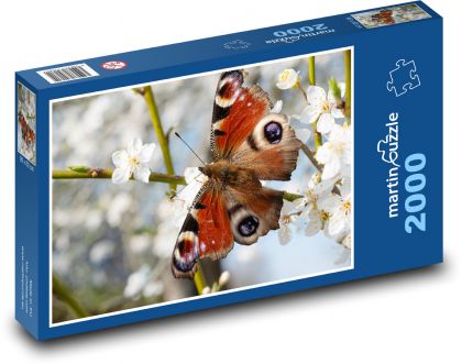 Motýl  - puzzle 2000 dílků