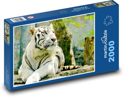 Tygrys ussuryjski - Puzzle 2000 elementów, rozmiar 90x60 cm