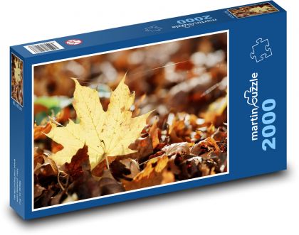 Maple leaf - Puzzle 2000 pieces, size 90x60 cm 