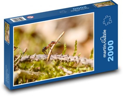 Ant - Beetle - Puzzle 2000 pieces, size 90x60 cm 