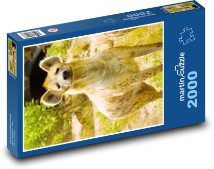 Hyena škvrnitá - Puzzle 2000 dielikov, rozmer 90x60 cm 