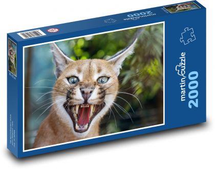 Caracal - the beast - Puzzle 2000 pieces, size 90x60 cm 
