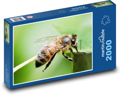 Včela - Puzzle 2000 dielikov, rozmer 90x60 cm 