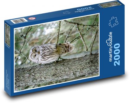 Owl on a Branch - Puzzle 2000 pieces, size 90x60 cm 