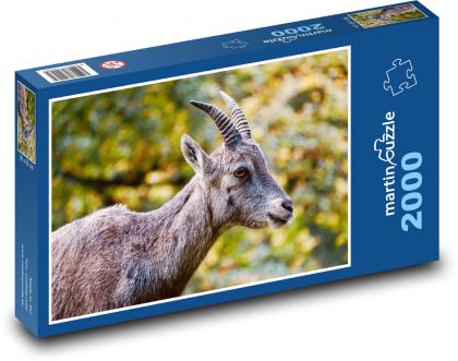 Koziorożec - koza - Puzzle 2000 elementów, rozmiar 90x60 cm