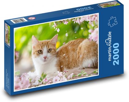 Európska mačka - Puzzle 2000 dielikov, rozmer 90x60 cm 