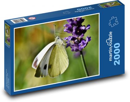 Butterfly on lavender - Puzzle 2000 pieces, size 90x60 cm 