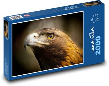 Adler - ein Raubvogel - Puzzle - 2000 Teile