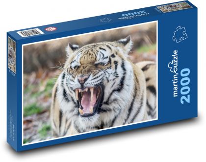 Nahnevaný tiger - Puzzle 2000 dielikov, rozmer 90x60 cm 