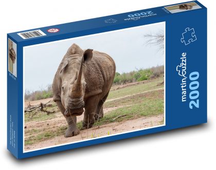 Nosorożec w Afryce - Puzzle 2000 elementów, rozmiar 90x60 cm