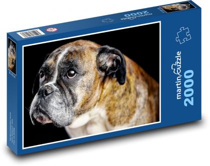 Boxer - pes - puzzle 2000 dílků
