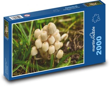 Grzyby w lesie - Puzzle 2000 elementów, rozmiar 90x60 cm