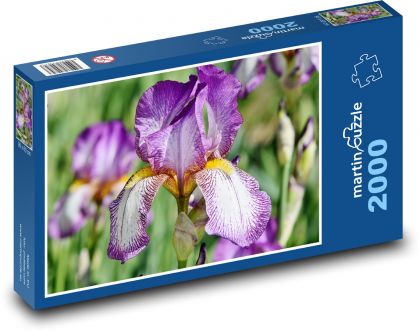 Iris - Flower - Puzzle 2000 pieces, size 90x60 cm 