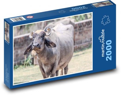 Ox - Puzzle 2000 pieces, size 90x60 cm 