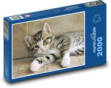 Kätzchen - getigert Puzzle 2000 Teile - 90 x 60 cm