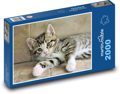 Kätzchen - getigert - Puzzle - 2000 Teile