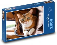Kot ścienny Puzzle 2000 elementów - 90x60 cm
