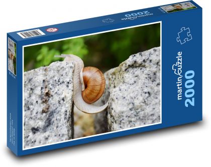 Ślimak - Puzzle 2000 elementów, rozmiar 90x60 cm