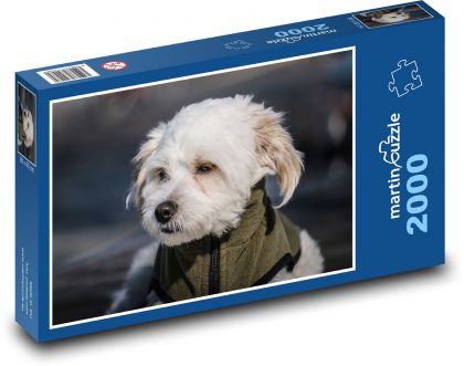 Malý pes - Puzzle 2000 dielikov, rozmer 90x60 cm 