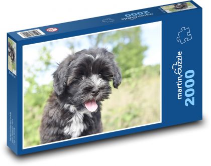 Havanský psík - Puzzle 2000 dielikov, rozmer 90x60 cm 
