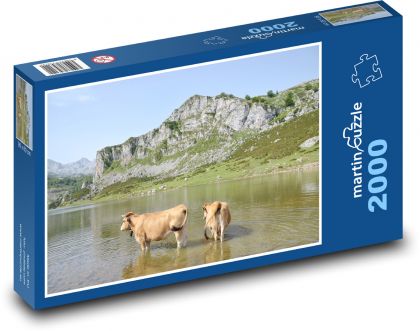 Krowy - Jezioro - Puzzle 2000 elementów, rozmiar 90x60 cm