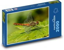 Vážka - hmyz Puzzle 2000 dílků - 90 x 60 cm