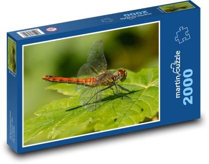 Vážka - hmyz - Puzzle 2000 dílků, rozměr 90x60 cm