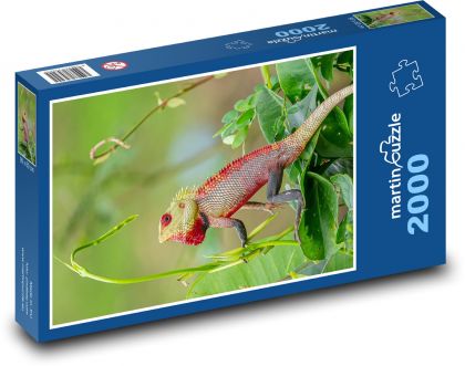 Jašterica - plaz - Puzzle 2000 dielikov, rozmer 90x60 cm 