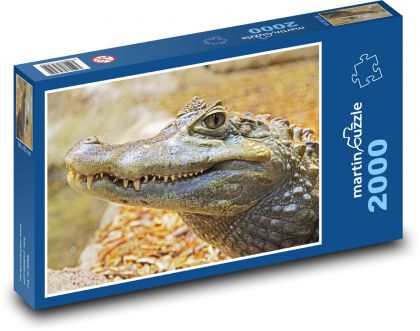 Alligator - Puzzle - 2000 Teile