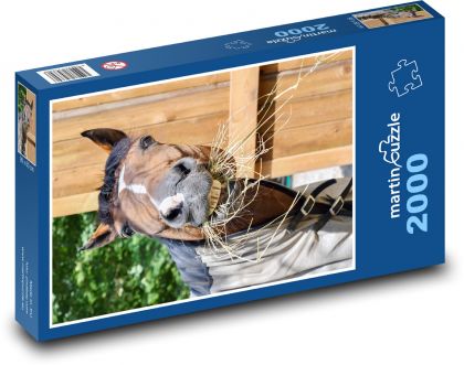Horse - Puzzle 2000 pieces, size 90x60 cm 
